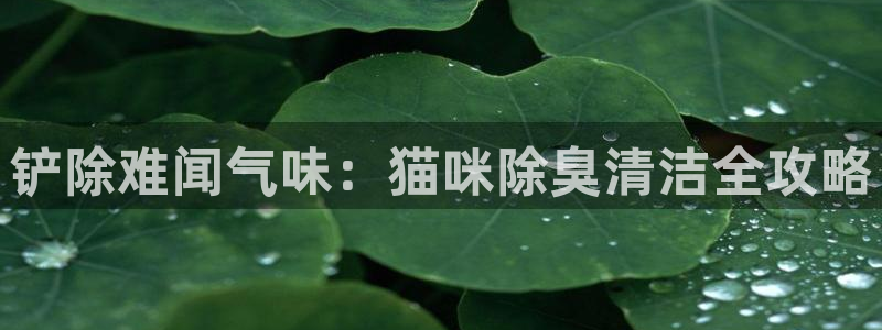 尊龙网站人生就是博