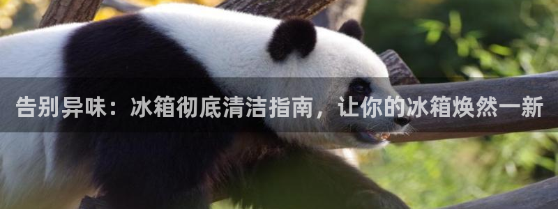 尊龙 中国