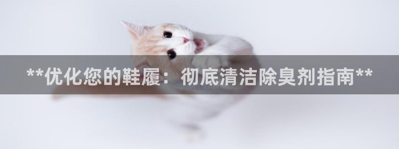 凯时k66官方发布