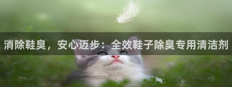 d88尊龙官方网
