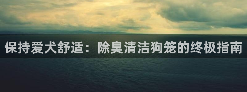 尊龙一人生就是博电子游戏：保持爱犬舒适：除臭清洁狗笼的终