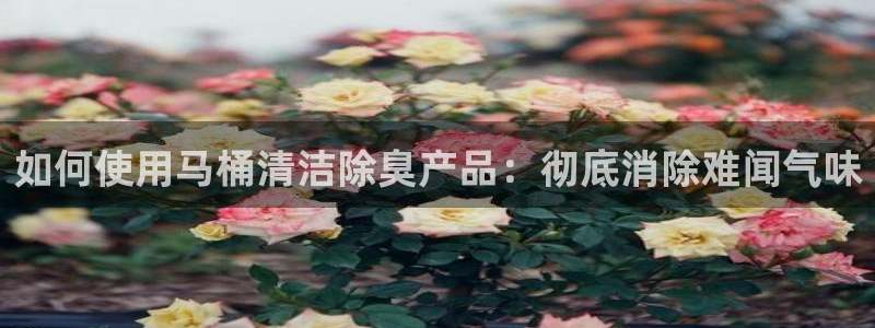 尊龙最经典的三个角色