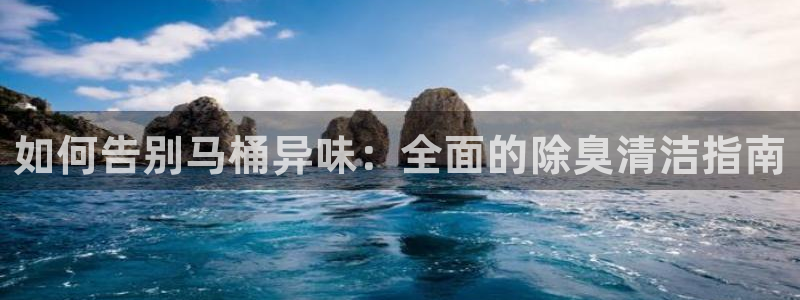 尊龙一生也走不出自己的童年：如何告别马桶异味：全面的除臭