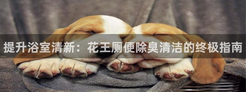 尊龙凯时ag旗舰厅登陆