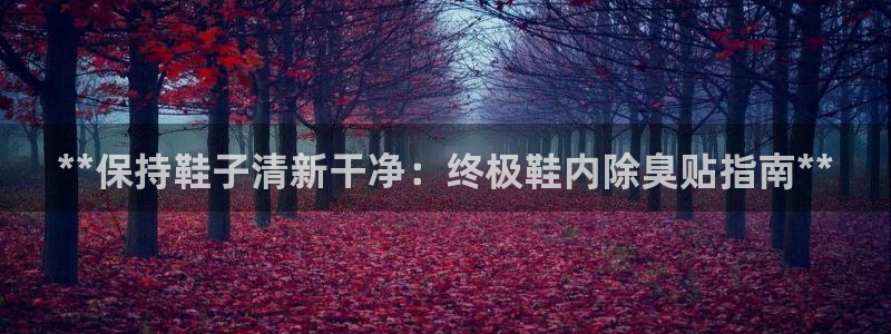 尊龙凯时泰安