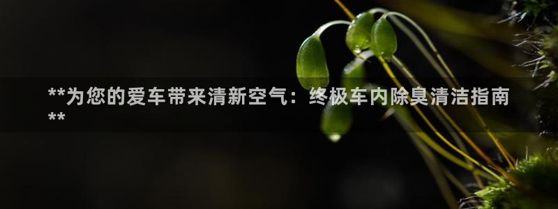 尊龙凯时不朽情缘