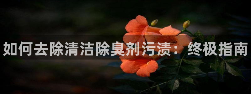 尊龙人生就是博管网：如何去除清洁除臭剂污渍：终极指南