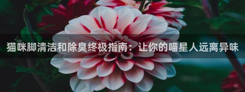 尊龙凯时人生就是博·(中国)官网