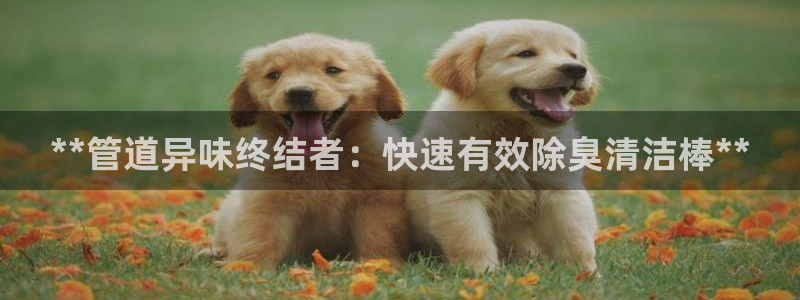 怎样能成为尊龙凯时平台的会员：**管道异味终结者：快速有