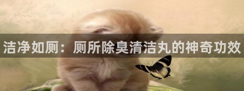 尊龙人生就是博D88