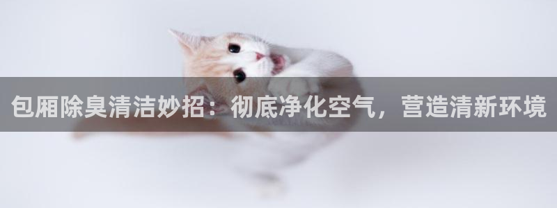 尊龙凯时登录：包厢除臭清洁妙招：彻底净化空气，营造清新环