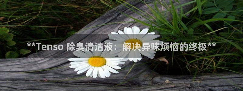 尊龙凯时登入首页：**Tenso 除臭清洁液：解决异味烦