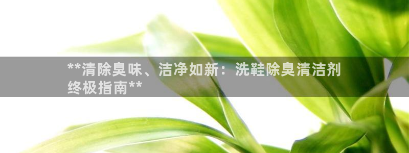 尊龙凯时z6官网：**清除臭味、洁净如新：洗鞋除臭清洁剂