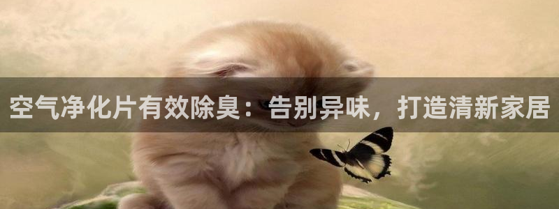 尊龙凯时网站怎么样：空气净化片有效除臭：告别异味，打造清