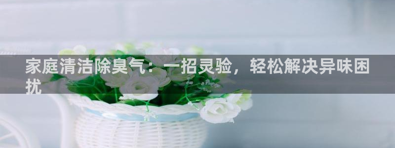 尊龙凯时链接：家庭清洁除臭气：一招灵验，轻松解决异味困
