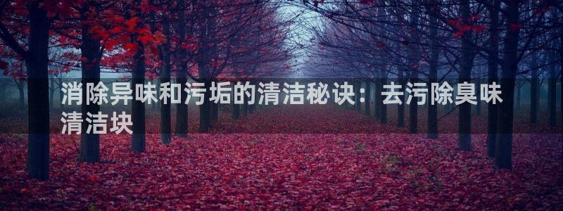 尊龙凯时代理能提出来不：消除异味和污垢的清洁秘诀：去污除
