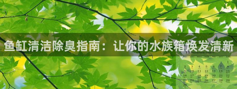 尊龙官网/首选kpm：鱼缸清洁除臭指南：让你的水族箱焕发