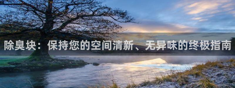 尊龙人生就是博官网登录手机：除臭块：保持您的空间清新、无