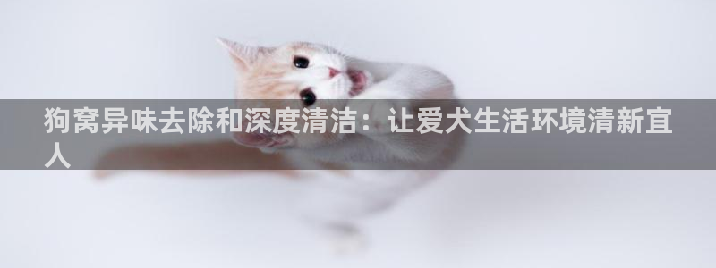 尊龙网址登录官网：狗窝异味去除和深度清洁：让爱犬生活环境