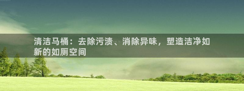 凯时k66官网登录：清洁马桶：去除污渍、消除异味，塑造洁