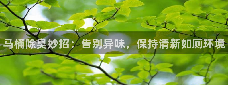 旧版尊龙人生就是博下载