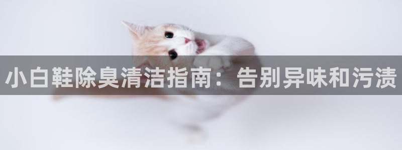 凯时kb88会员登录：小白鞋除臭清洁指南：告别异味和污渍