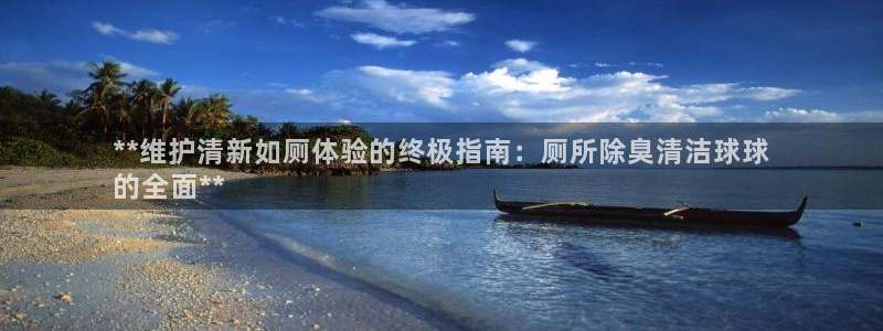 尊龙公司：**维护清新如厕体验的终极指南：厕所除臭清洁球