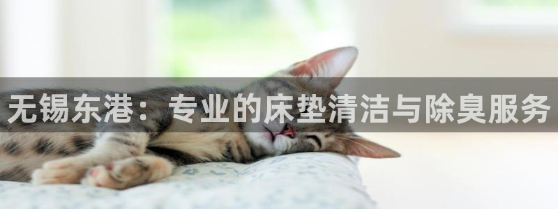 尊龙凯时平台还是万搏好