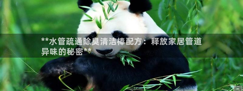 尊龙凯时-人生就是博中国官网最新