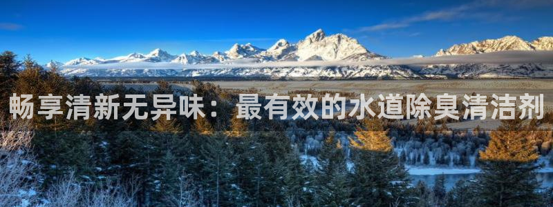 ag尊龙怎么样