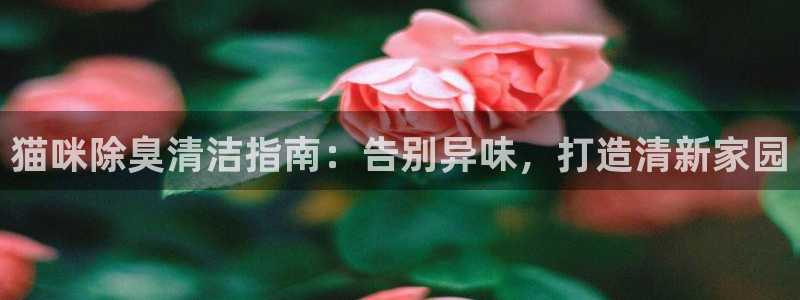尊龙凯时干什么的