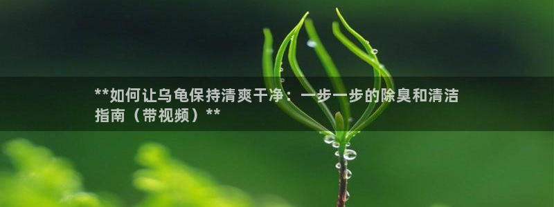 尊龙d88官网登录苹果版下载：**如何让乌龟保持清爽干净