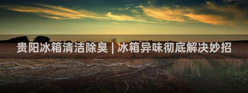 尊龙体育电竞官网