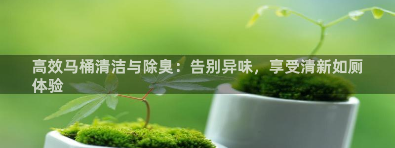 尊龙凯时人生就是搏官：高效马桶清洁与除臭：告别异味，享受
