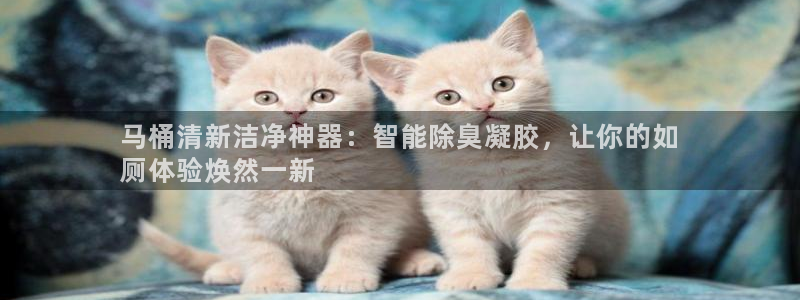 d88尊龙手机客户端下载