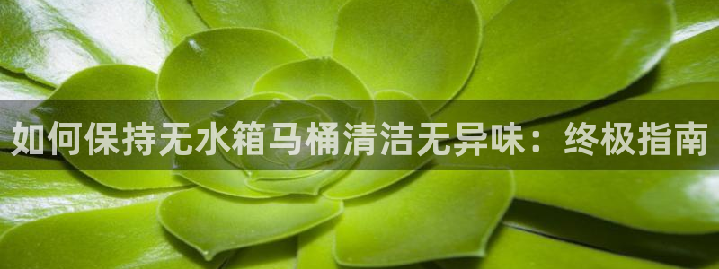 KB88凯时官网登录：如何保持无水箱马桶清洁无异味：终极
