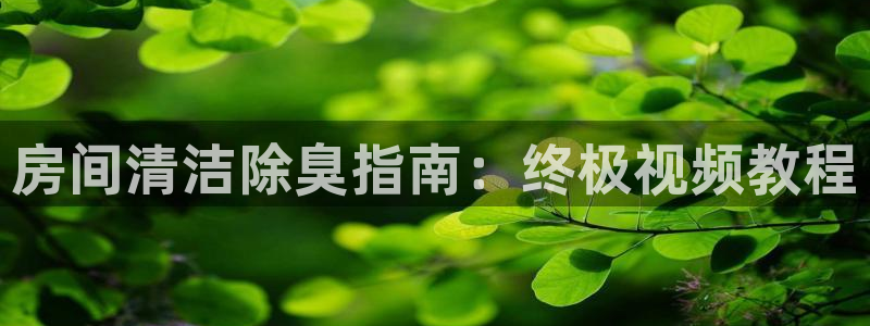 尊龙凯时人生就是博游戏网站