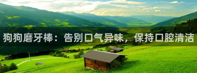 尊龙手机客户端app