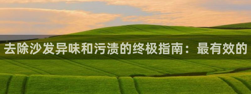 尊龙凯时 人生就是搏首页：去除沙发异味和污渍的终极指南：