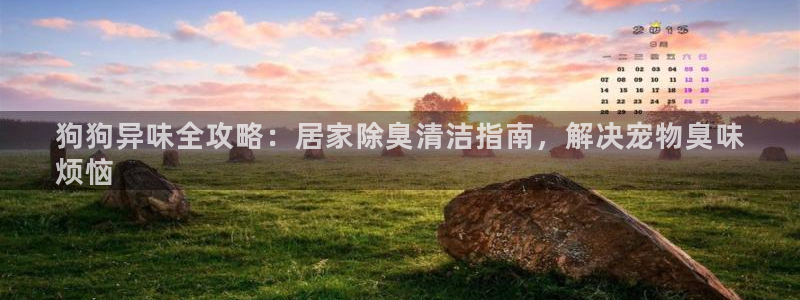 凯时ag旗舰厅网址是什么：狗狗异味全攻略：居家除臭清洁指