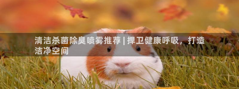 尊龙凯时官方网站：清洁杀菌除臭喷雾推荐 | 捍卫健康呼吸