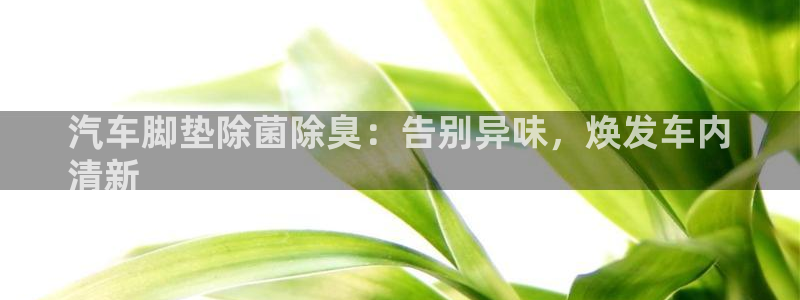 尊龙凯时美金能提取吗