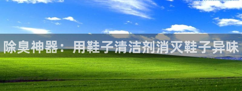 尊龙网平台