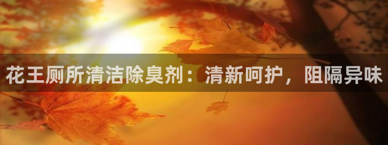尊龙凯时充值不到账