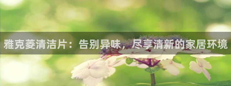 尊龙网页：雅克菱清洁片：告别异味，尽享清新的家居环境