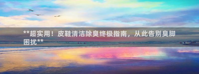 尊龙人生就是博登录网址下载：**超实用！皮鞋清洁除臭终极
