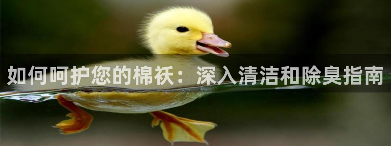 尊龙官网手机版下载