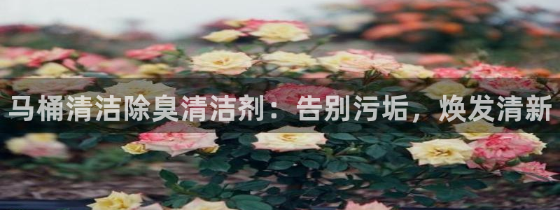 尊龙服饰有限公司地址