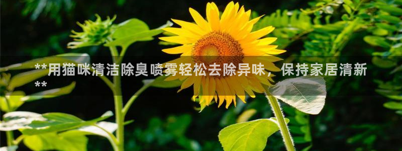 尊龙一人生就是搏