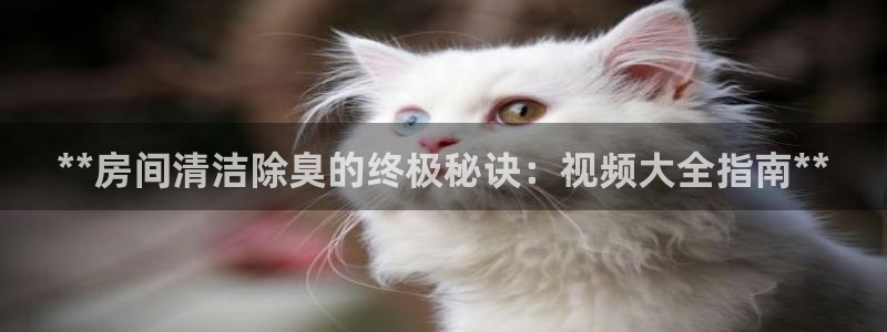 尊龙app|首选agdaohang